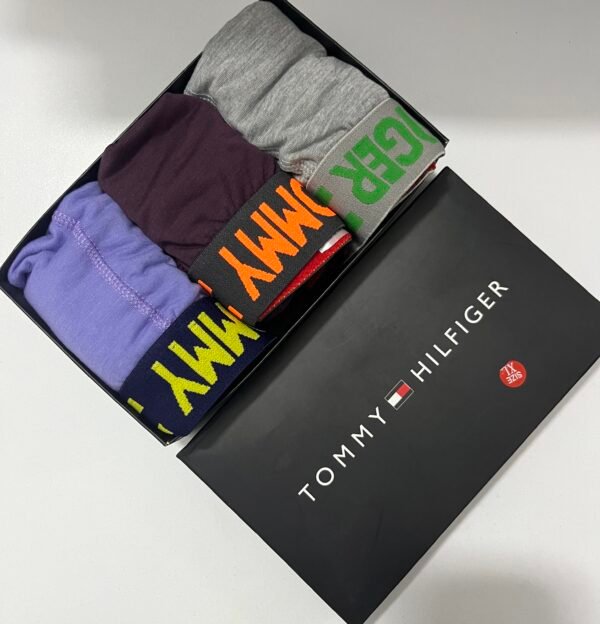 IMG_7229 BOXER_TOMMY_H.